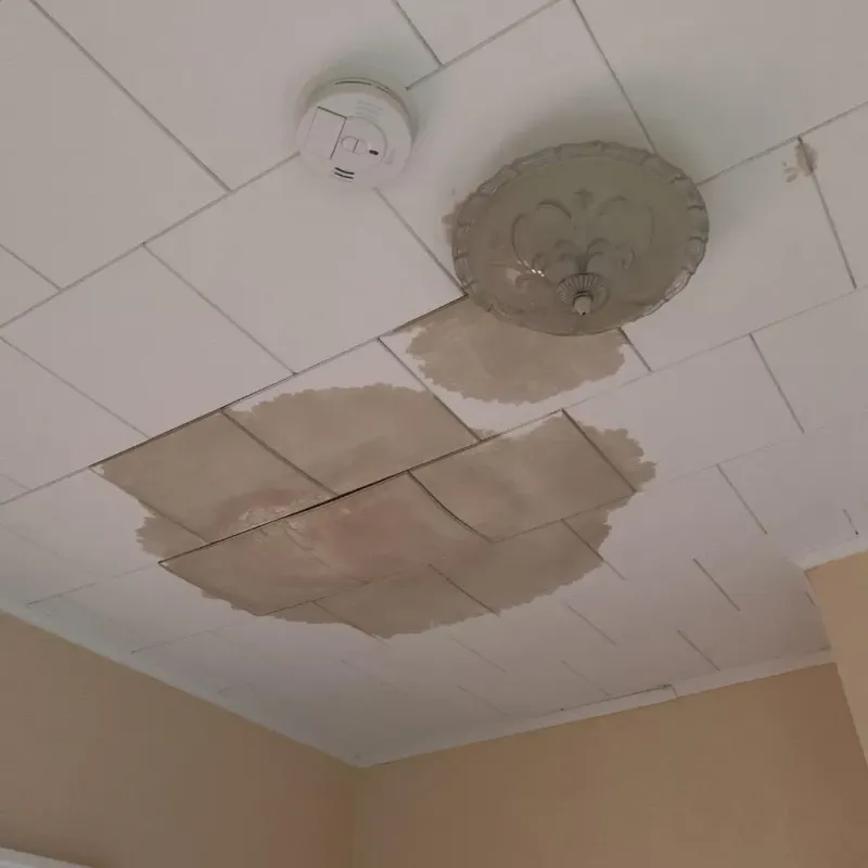 Ceiling Water Damage Repair in West Wyoming, PA