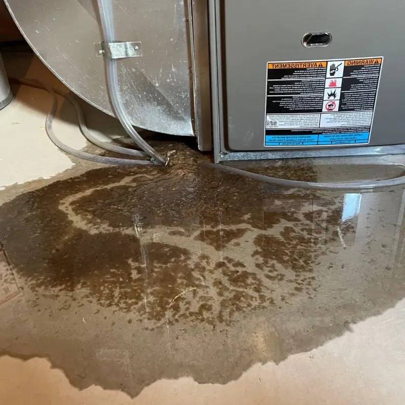 Pipe Burst and Leak Restoration in West Wyoming, PA